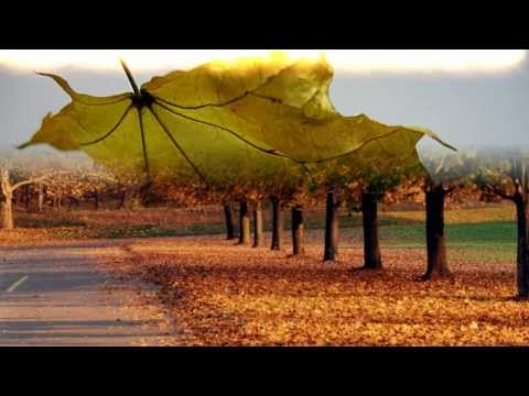 『追伸』(グレープ) 歌：SongCat Hiro