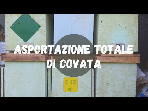 Video: Come dimostrare l'asportazione?