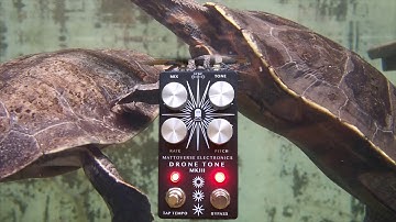 Labor Day Aquarium Drone with the Mattoverse Drone Tone MKIII