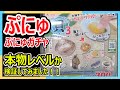 本物レベルか検証！！ぷにゅぷにゅ貝マスコット3 ガチャ