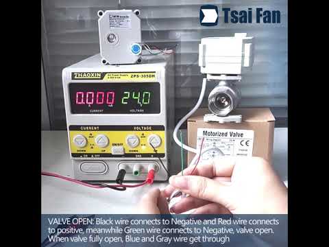 Miniature electric valve