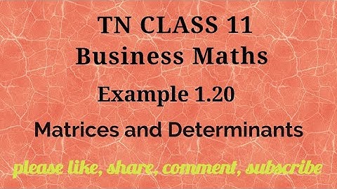 Tn 11 Business maths| example1.20 | matrices and determinants | chapter |gmrrao maths |