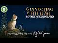 Dream Therapy For Over-Thinkers 🐈 The Magical Feline Temple 💤 Bedtime Stories For Grown Ups