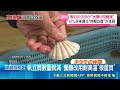 北海道與青森帆立貝 因海水升溫產量大減 青森帆立貝捕撈量 僅剩10年前約10% 變少又變小 市場售價連年上漲｜記者 劉如穎｜國際關鍵字20260520｜三立iNEWS