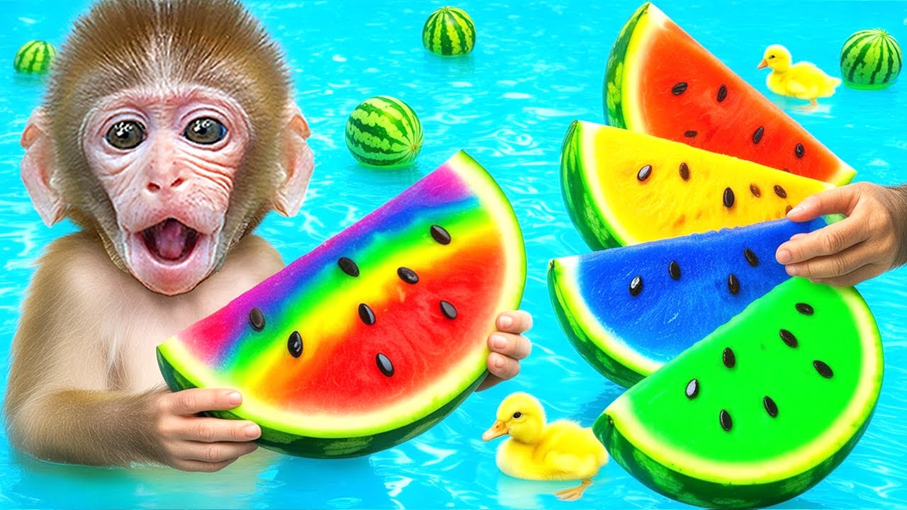 BuBu Mono Nada En La Piscina Con El Patito Y Hace Helado De Sandía - BuBu Mexican