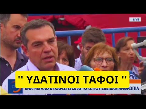 Βίντεο: Αυτοί οι γνωστοί αξιολάτρευτοι κοτόπουλο φιλιά - Πού είναι τώρα;