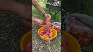 Мангал, друзья и кайф от жизни 🔥 #cooking #cookinginnature #готовимнаприроде #шашлыки #шашлык