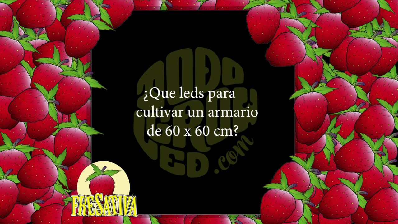 Leds para armario 60x60cm