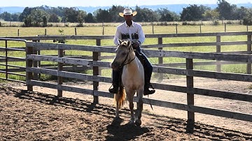 Bend and Counter Bend Exercise 1.The Check Mark