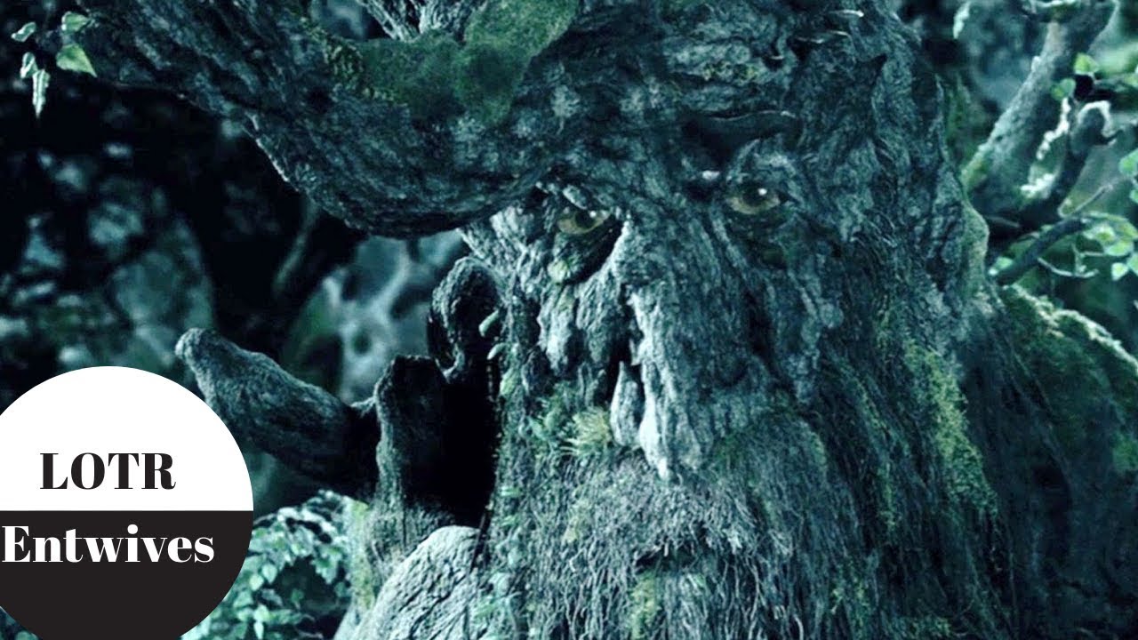 Lord of the Rings - What Happened to the Entwives? - YouTube