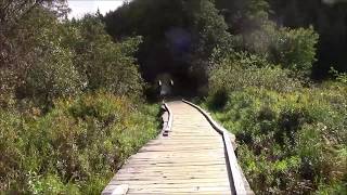 POV Walk - One Mile Lake Park near Pemberton BC Canada