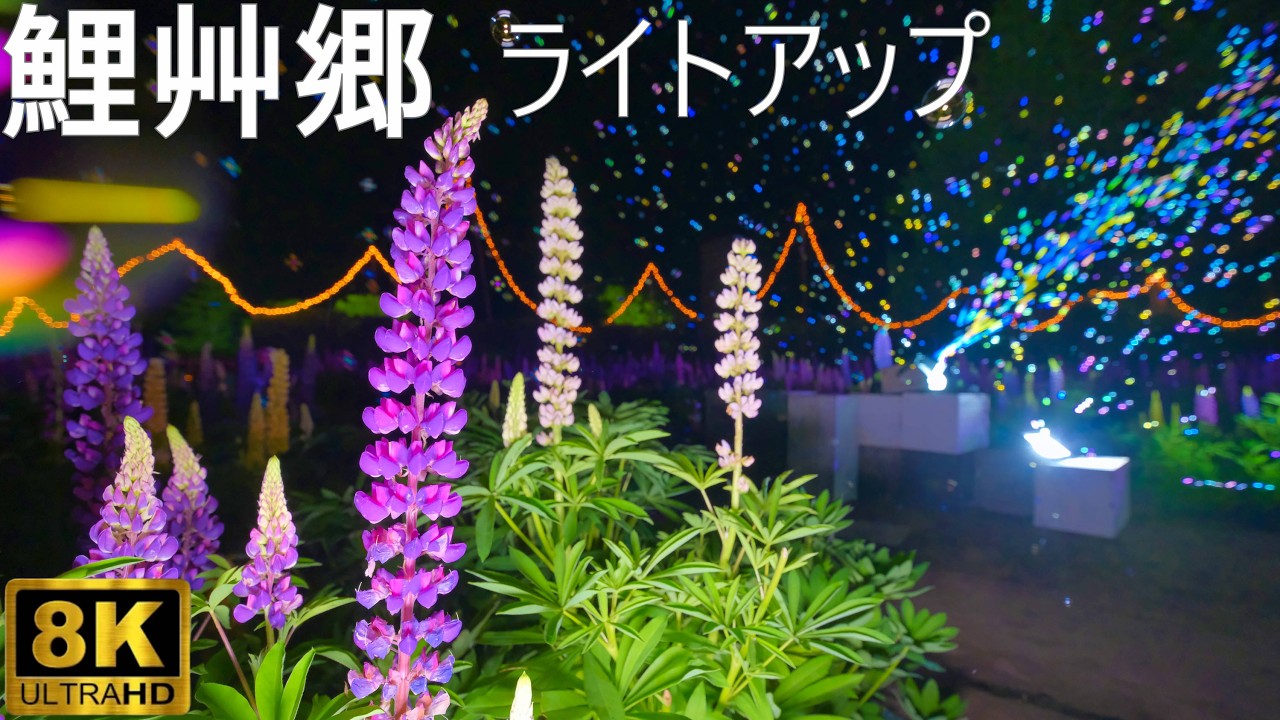 手づくり村鯉艸郷】光と花 Imagination Night 2026【青森県十和田市