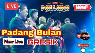 New Pallapa TranzMusic Due Gae Padang Bulan