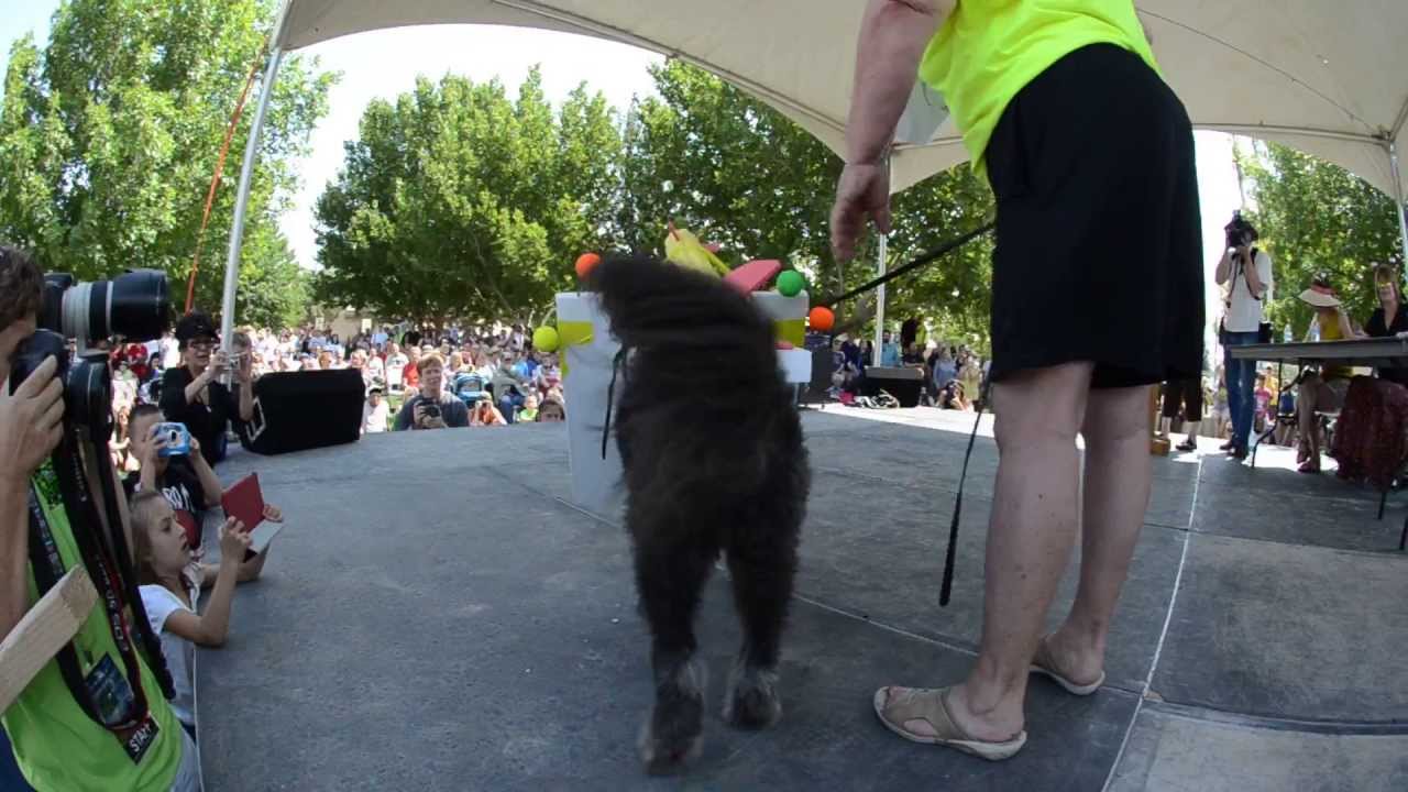 Iron Maiden Alien Pet Costume Contest Roswell, NM