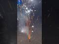 Peacock feathers crackers testing fireworks #shorts