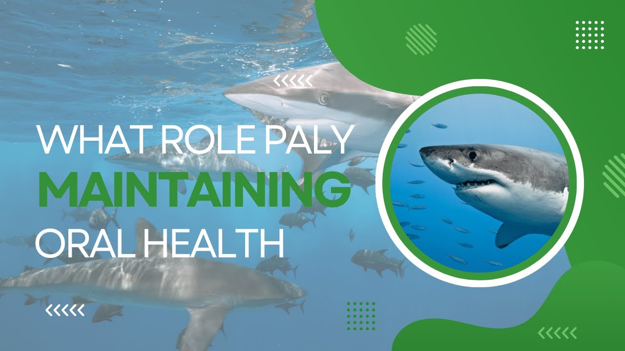 what role paly maintaining oral health? - YouTube