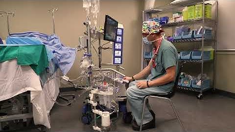 Cardiovascular Perfusion Program - Michener