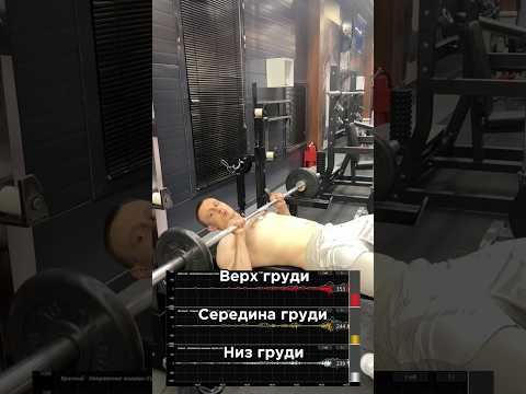 За персональным планом тренировок/питания обращаться в телеграмм:@TrainerSmirnoVV