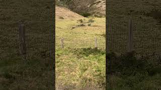 IMG 1995 IMG 1995