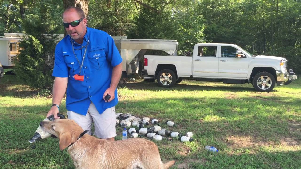 Chris Akin Opening Day of Dove Season