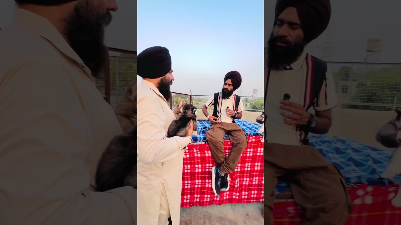 ਹਸਕੀ ਇਹਨਾ ਤੋ ਹੀ ਮਿਲਣੇ ਸੋਹਣੇ ਜਿਹੇ #punjab