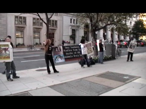 DC Activists Protest Folger Nolan Fleming Douglas 10Oct2008