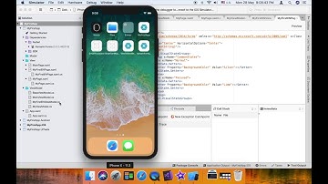Visual State Manager in Xamarin.Forms 3.0 (English)