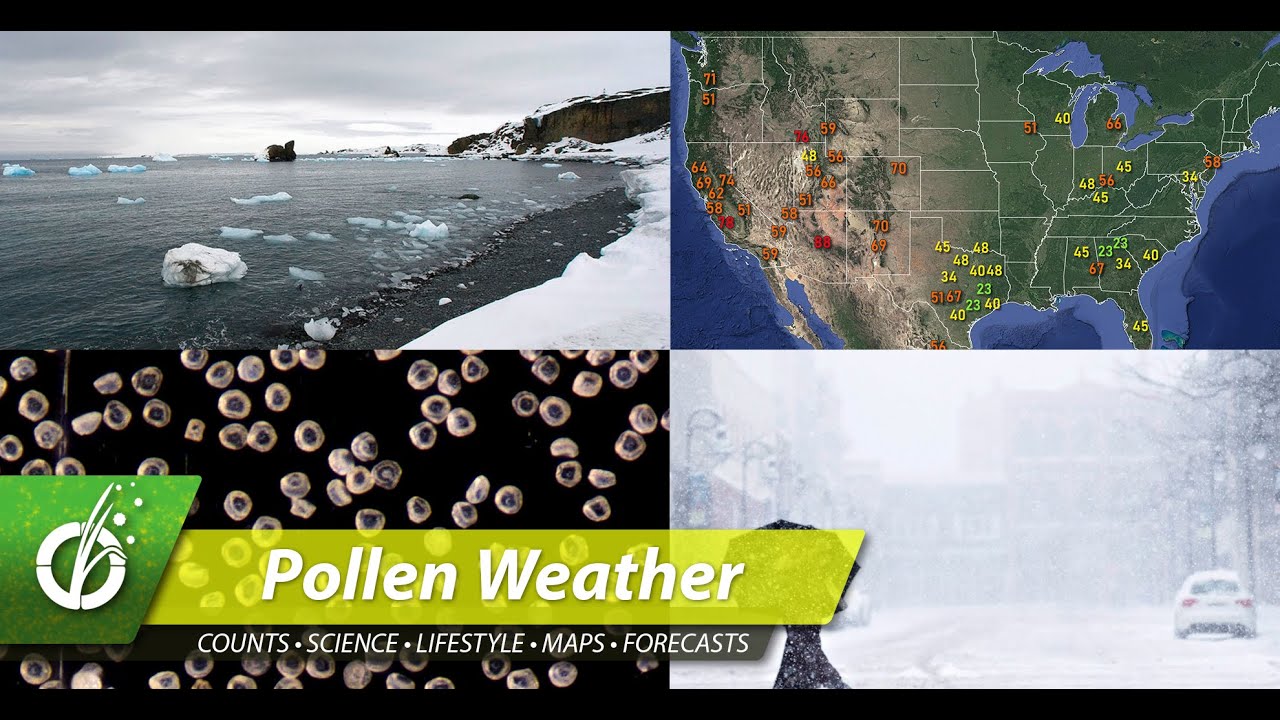 Saharan Dust Storm Bringing Pollen and Mold - Wednesday June 24, 2020