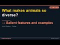 Salient features and examples | NEET Class 11 Biology | Synapse