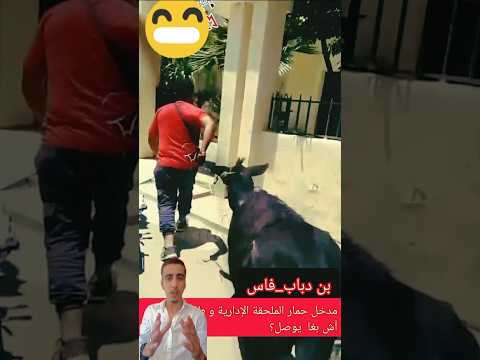 قام هذا الشخص بإدخال حمار إلى ملحقة إذارية شاهذ معنا وترك أرائك فاس