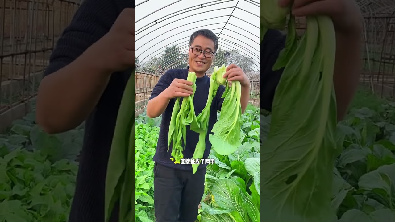 After get off work I go to the vegetable patch to pull some carrots and take them home to make