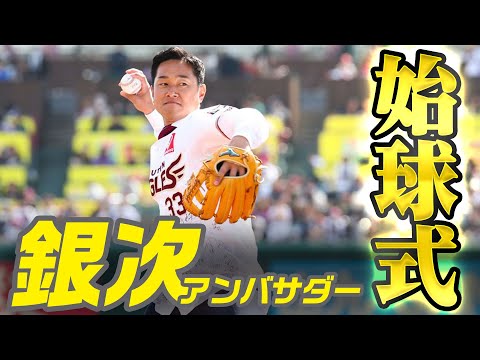 【夢乗せて 放った鋭い一球⚾】銀次アンバサダー始球式