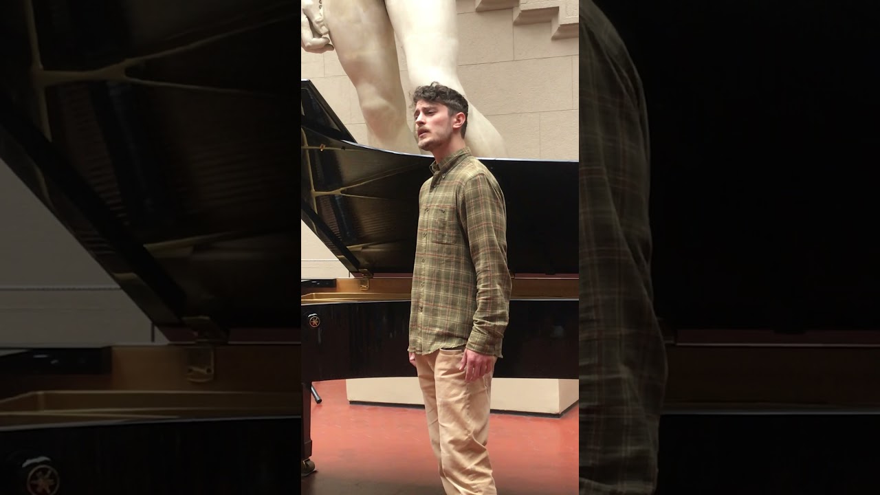 Внезапно в музее Jakub Józef Orliński, Countertenor Vivaldi "Vedro con
