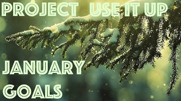 Project Use it Up January Goals 2016