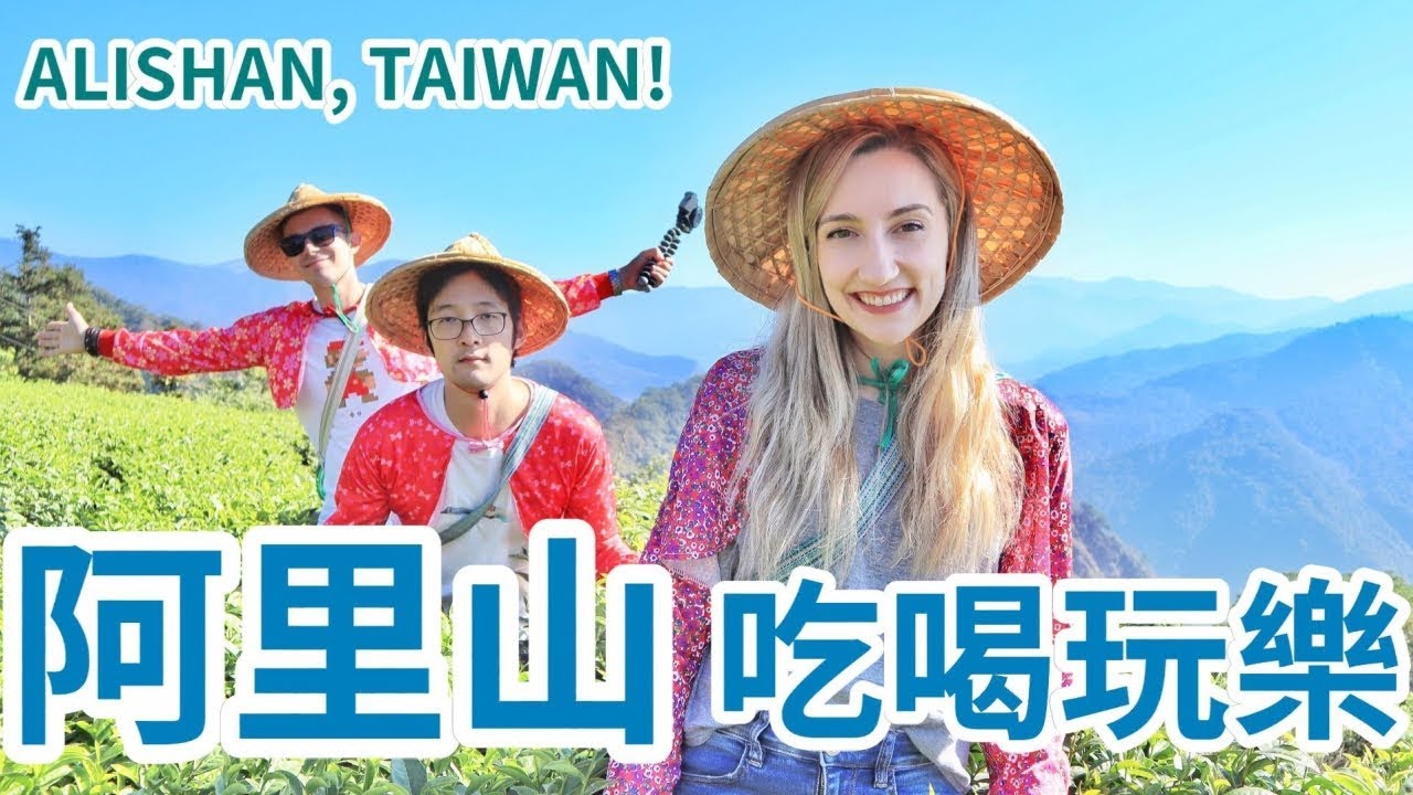 跟著加拿大人一起去阿里山 沒想到可以這樣玩 梅花鹿 奮起湖便當 採茶 Alishan Taiwan Travel Vlog Youtube