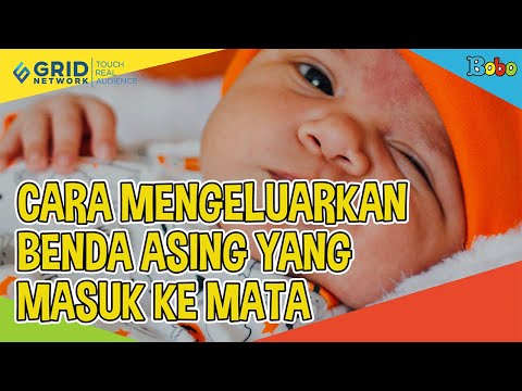 Fakta Menarik - Cara Mengeluarkan Benda Asing yang Masuk ke Mata