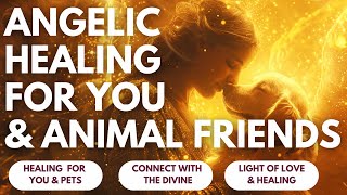 Miracles of Healing ♥️🐕‍🦺 A Guided Meditation for You and Your Beloved Animals