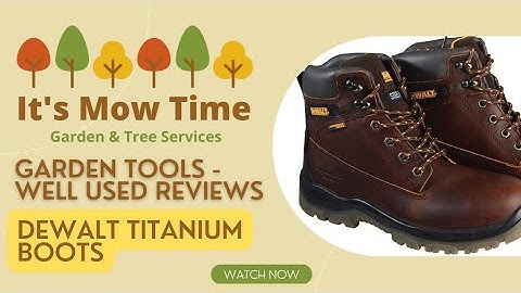 Dewalt mens titanium safety boots review năm 2024