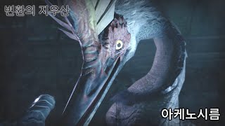 변환의 지우산 아케노시름