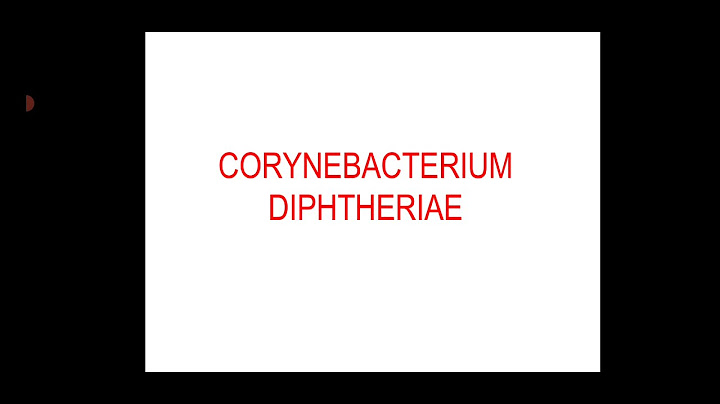 Penyakit yang disebabkan Corynebacterium diphtheriae menyebabkan sakit pada tekak dan demam