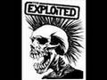 The exploited - chaos is my life