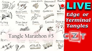 How to draw tangles -  Edge or Terminals - Organic - Draw with CZT - Tangle Marathon - Day #5