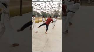 Fertilizer Taekwondo Academy Gorakhpur #Taekwondo #Kick #Practice #Hardwork #Trending #Shortvideo