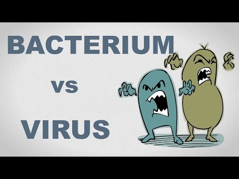 Viruses and Bacteria: What&rsquo;s the difference and who cares anyway? - Plain and Simple