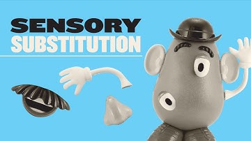 Sensory Substitution: How to See With Your Tongue