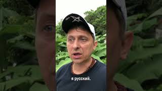 Я русский в баре на острове, реакция иностранцев