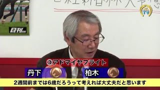 【競馬】【日経新春杯2016予想】今年も変わらず「日経新春杯」を全頭診断！ (一部公開版) まるごと必勝チャンネル(後編) - netkeiba.com