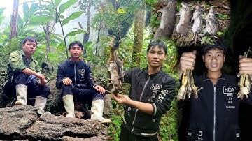 Hành Trình Đi Rừng Đánh Bẫy Và Ngủ Qua Đêm | Săn Đêm Bắt Ếch Giữa Rừng Hoang