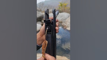 best Airgun of hunting #hunting #birdhunting #airgunhunting #huntingdog #duckhunting #birddog