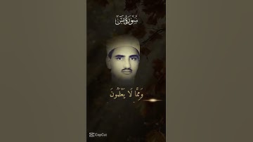 #سوره يس#للشيخ عبد الباسط عبد الصمد رحمه #الله #المصحف #الرحمن